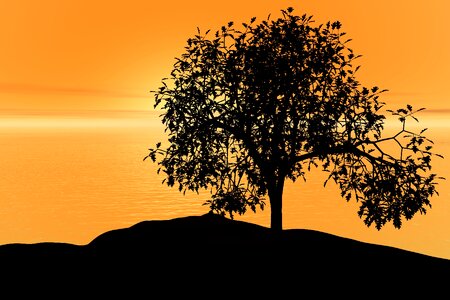 Peace nature landscape