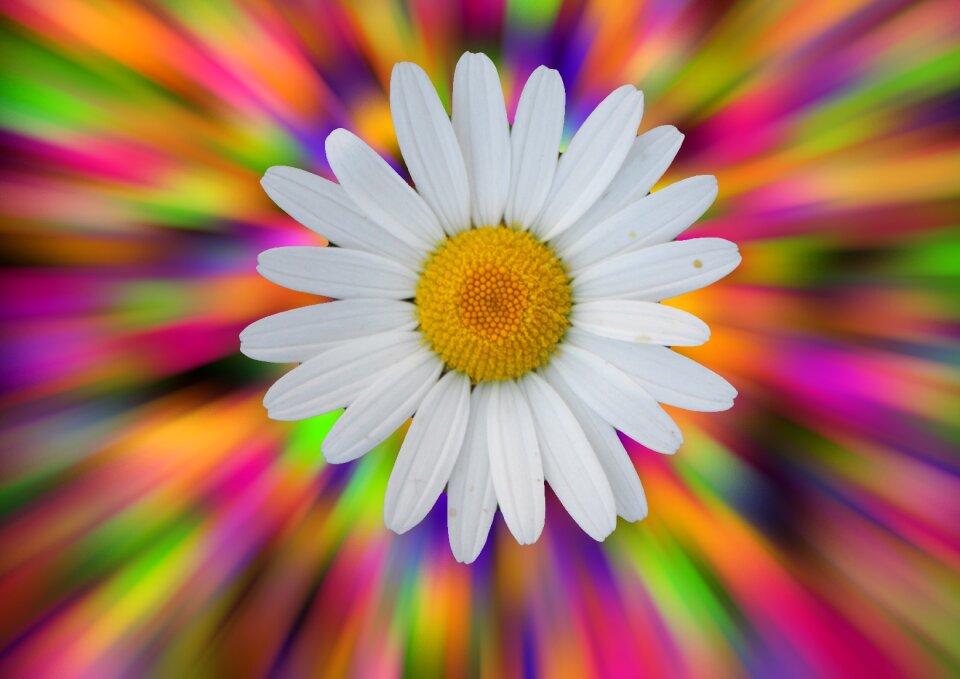 Background abstract reflex