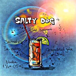 Alcohol recipe party