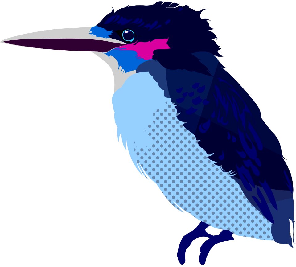 New birds Free illustrations