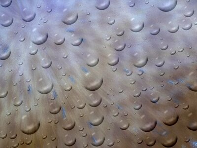 Raindrops brown background Free illustrations