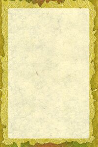 Framed grunge paper
