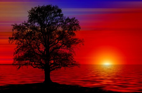 Sea sunset sun