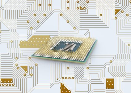 Privacy policy security circuits