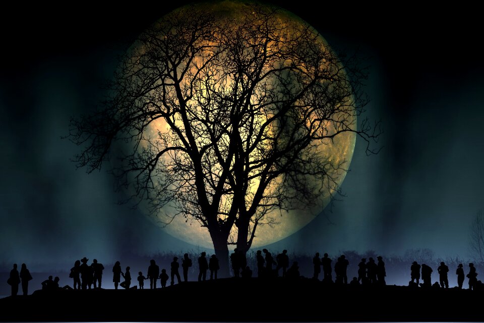 Human group silhouette