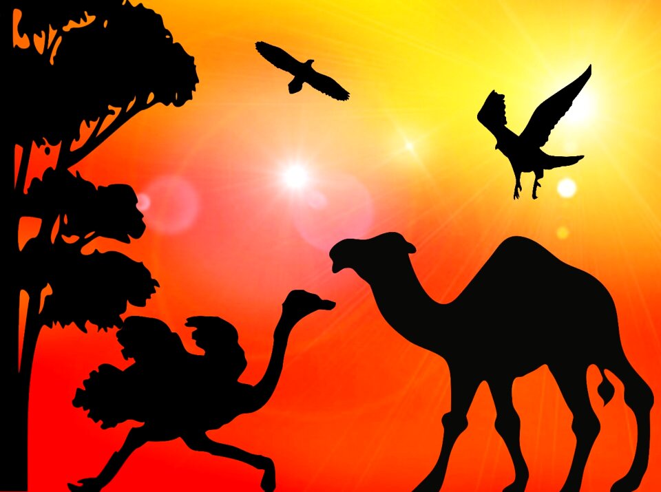 Camel bouquet birds