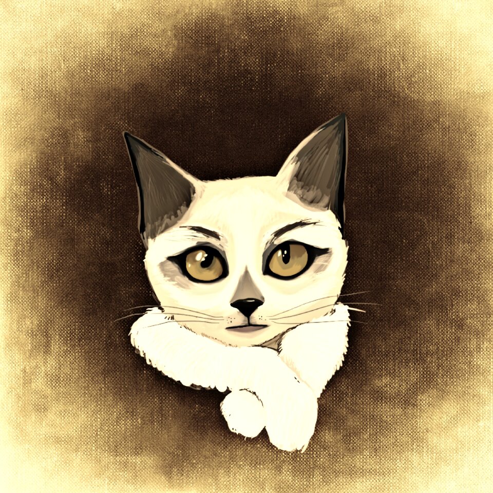 Mieze domestic cat Free illustrations