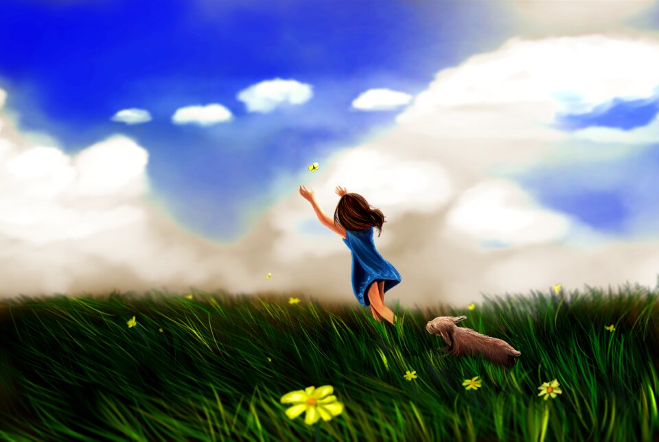 Meadow butterfly sky