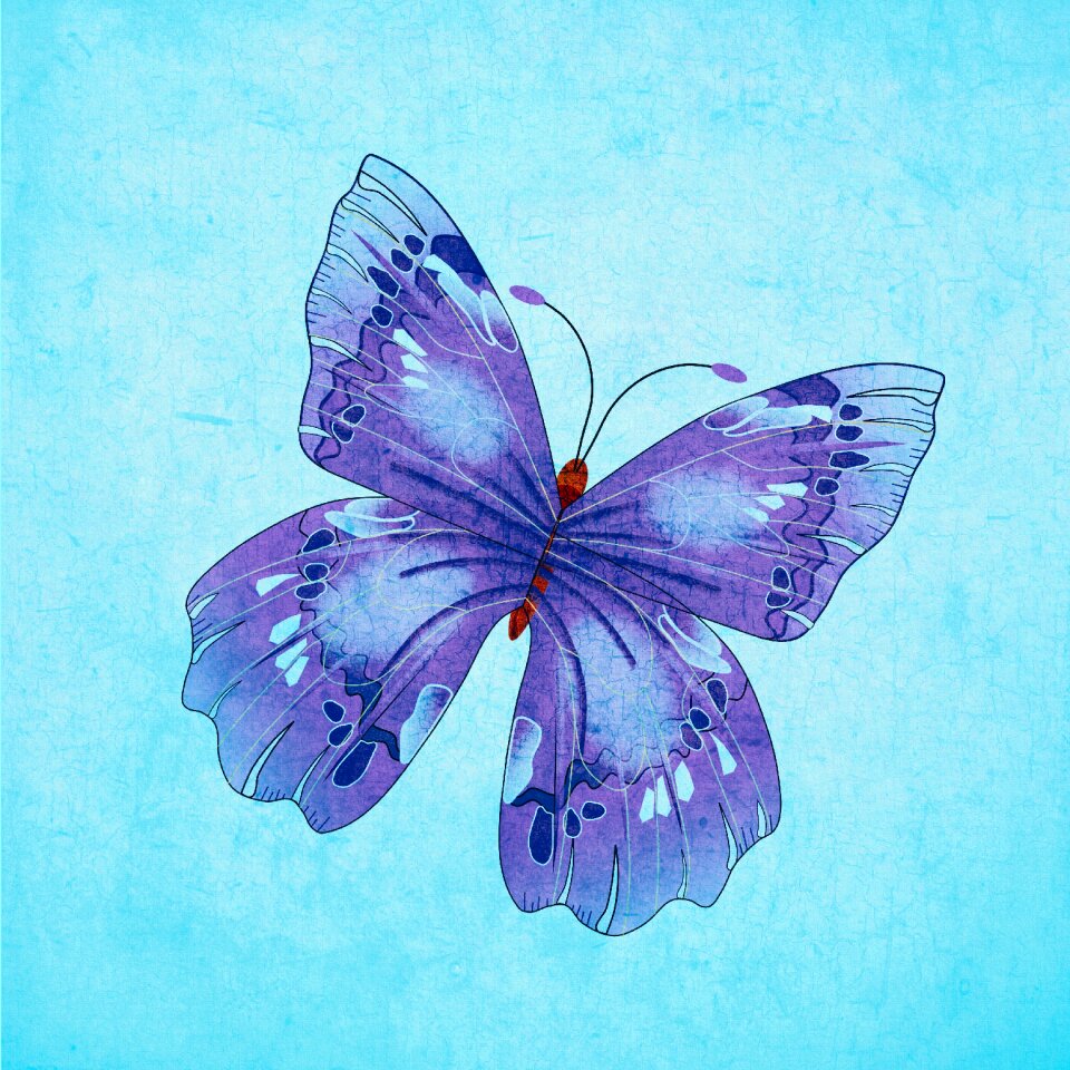 Blue pretty nature