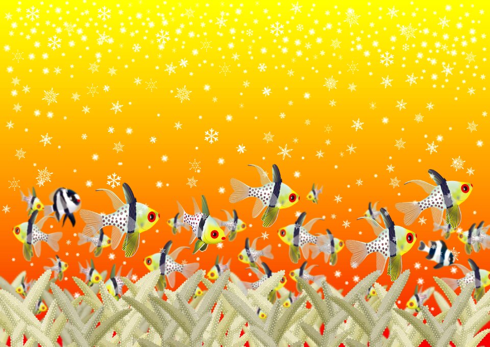Coral fairy tale Free illustrations