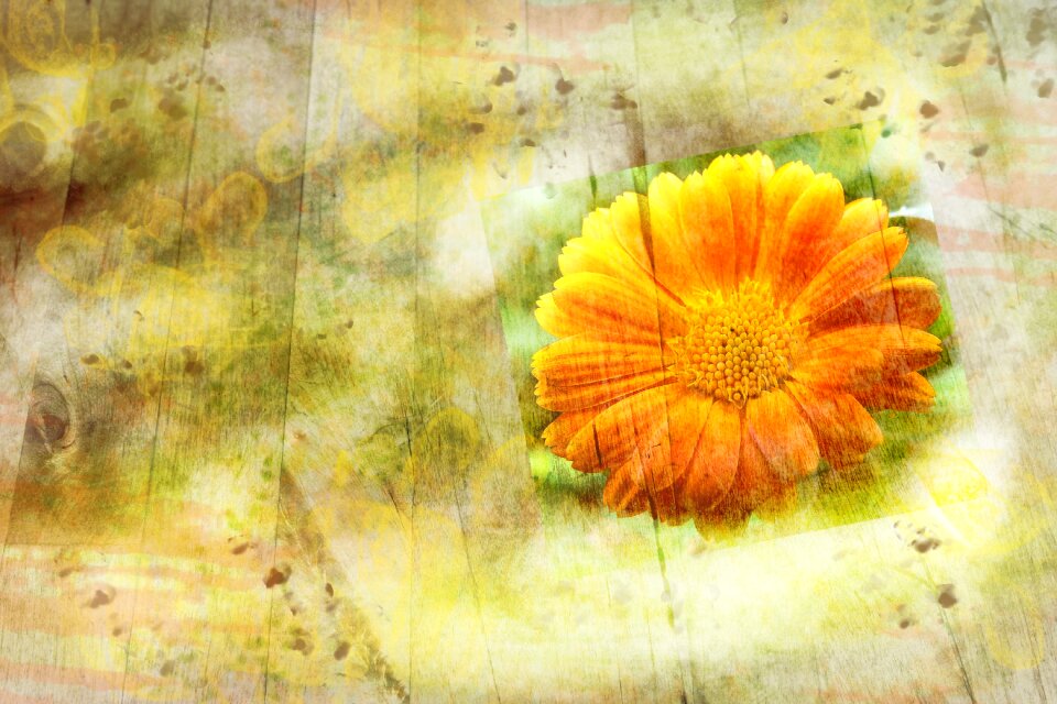 Wood color background