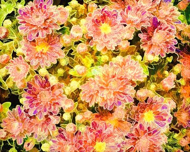 Decoration backdrop creative