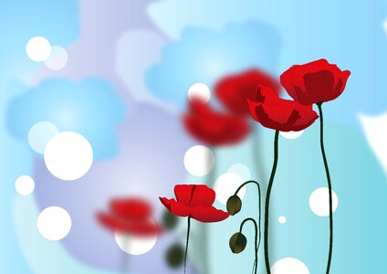 Floral remembrance bloom