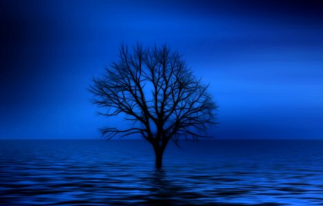 Loneliness isolation sadness