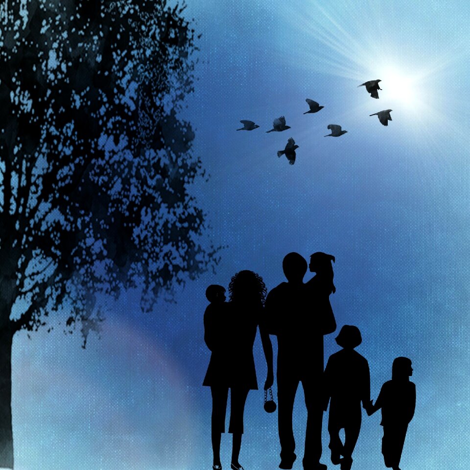 Birds sunshine blue sky