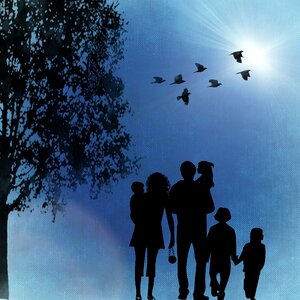 Birds sunshine blue sky