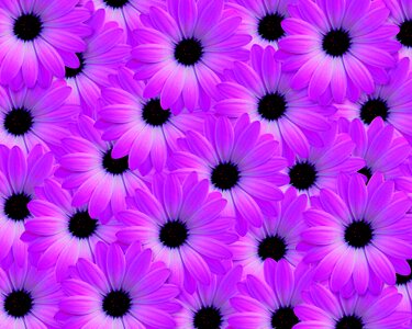 Pink background background image desktop wallpapers