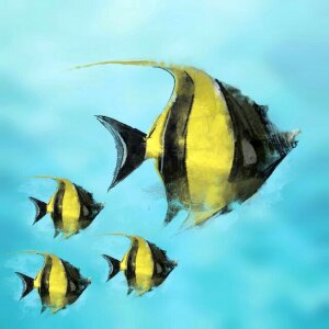 Swim aquarium Free illustrations