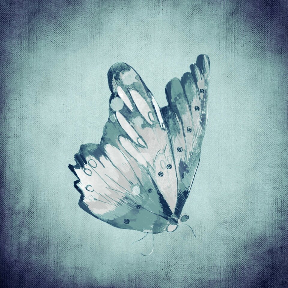 Flying wing Free illustrations