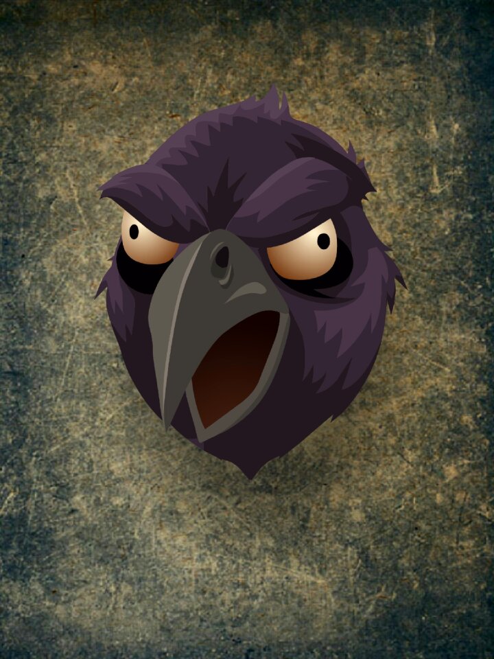 Black feather crow