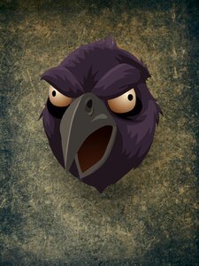Black feather crow