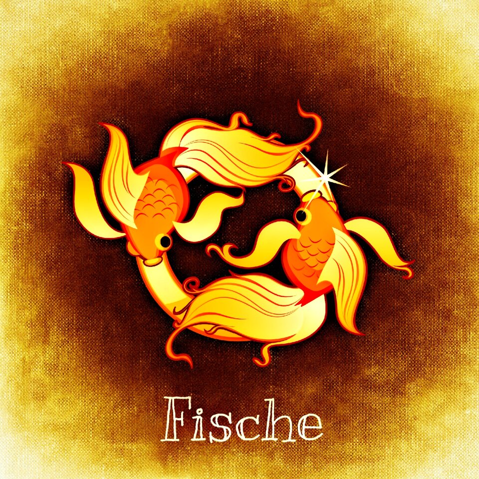 Astrology signs of the zodiac symbol
