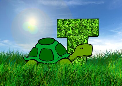 Turtle snake alphabet