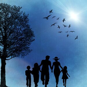 Birds sunshine blue sky