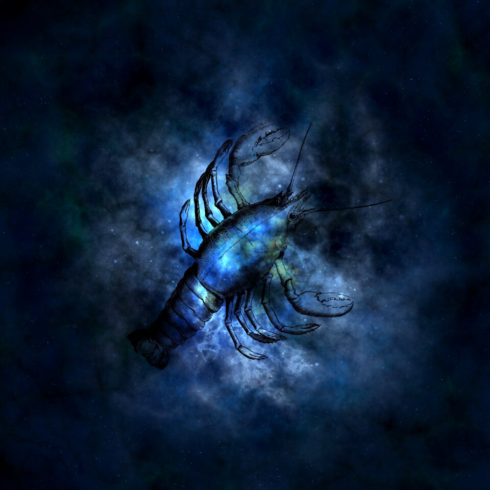 Cancer icon images signs of the zodiac