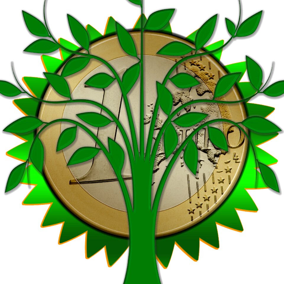Sun money euro