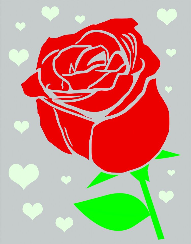 Red rose nature garden