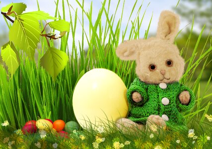 Easter eggs green Free illustrations