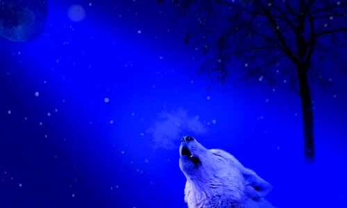 Moon wolf howl