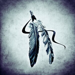Indian blue Free illustrations