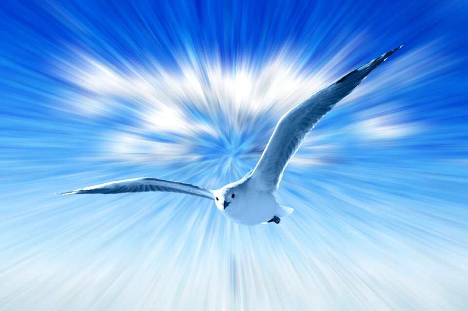 Flying clouds Free illustrations