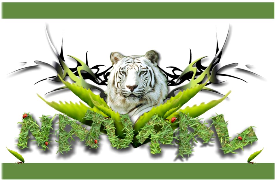 Natural tribal Free illustrations