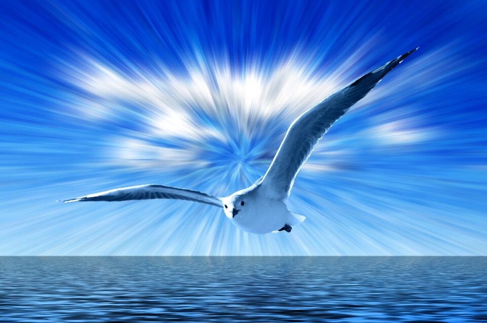 Flying clouds Free illustrations