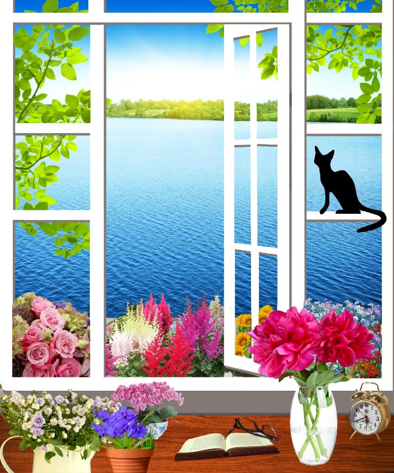 Pots flowers in pots black cat