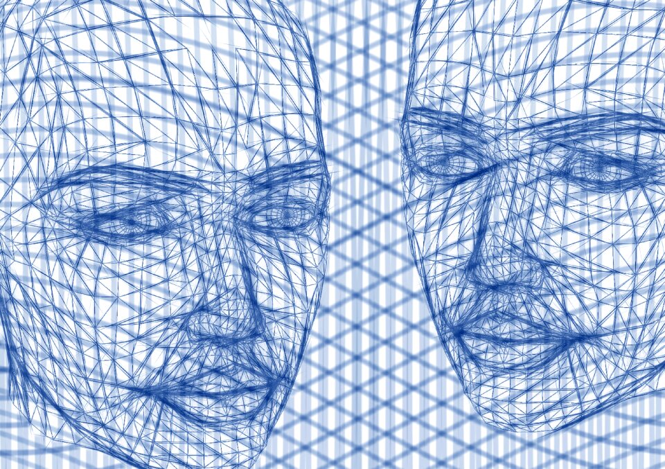 Lines wave web