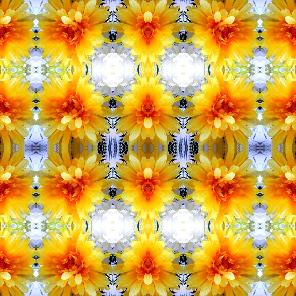 Flowers yellow Free illustrations