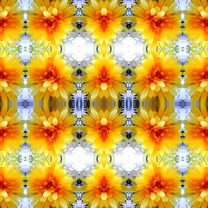 Flowers yellow Free illustrations