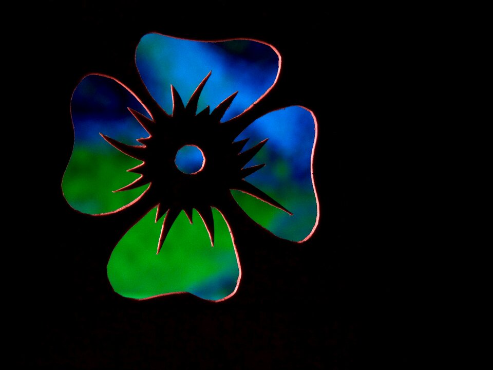 Color multicolored silhouette