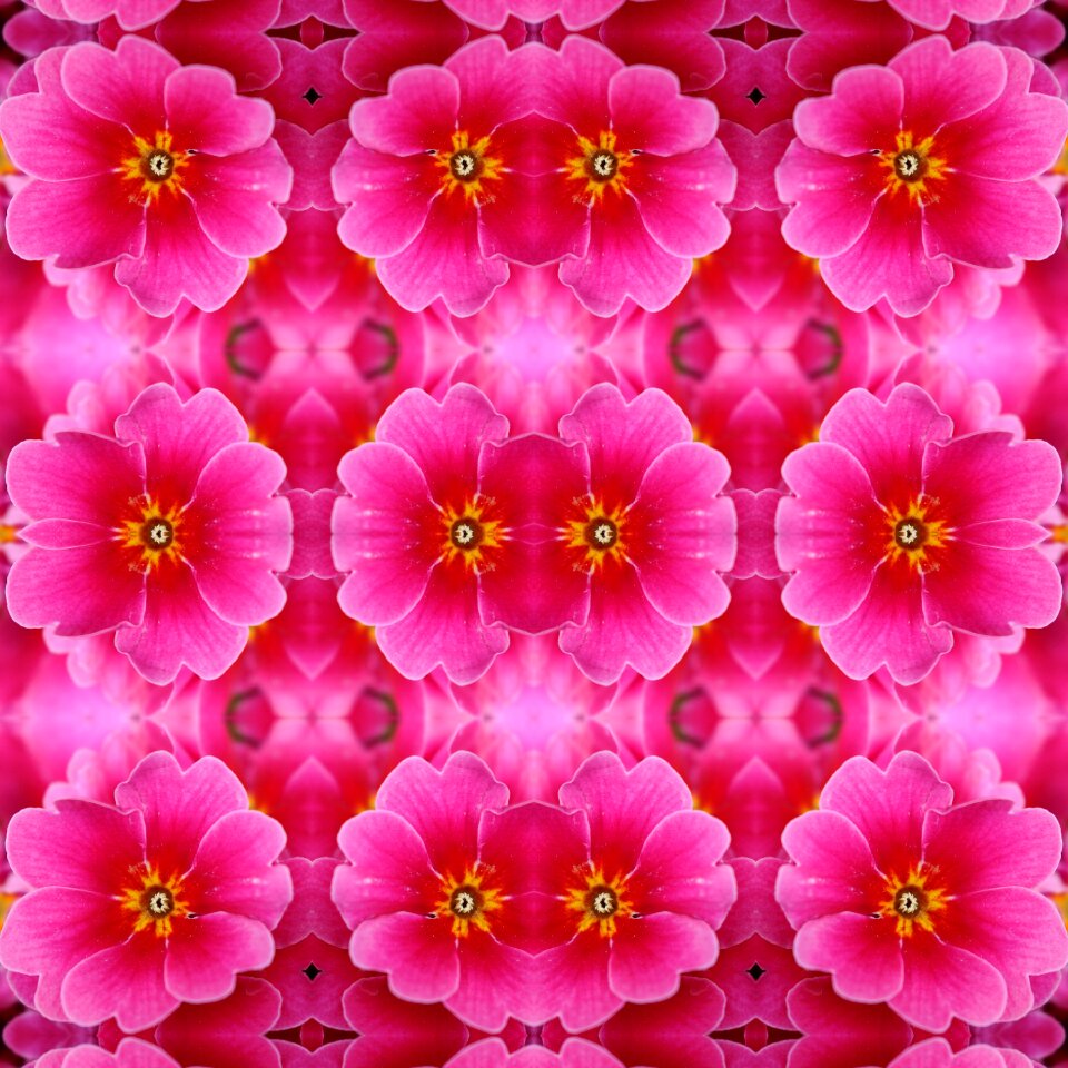 Scrapbooking flowers wallpaper