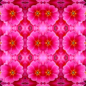 Scrapbooking flowers wallpaper