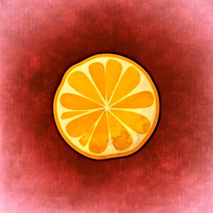 Disc fruit Free illustrations