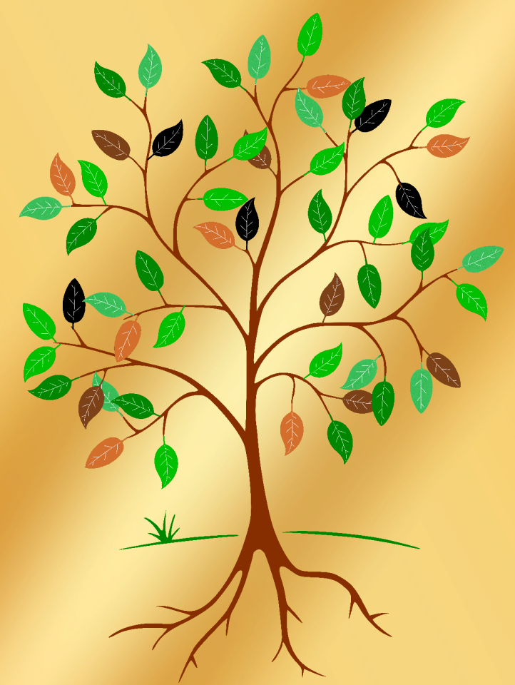 Contour outlines green