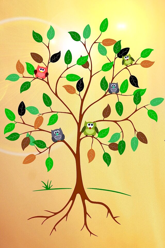 Leaves owls sun