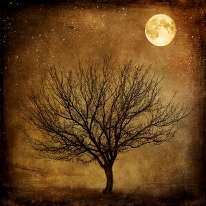 Mystical evening dark