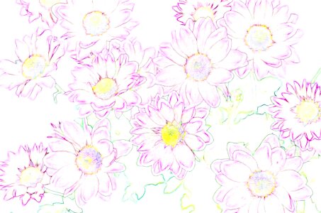 Spring colorful tender