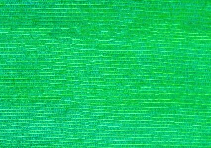Wood wall colorful